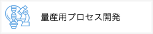 量産用プロセス開発